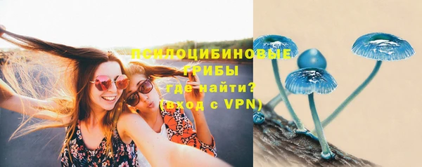 mdpv Киреевск