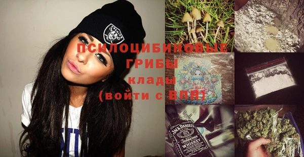 mdpv Киреевск