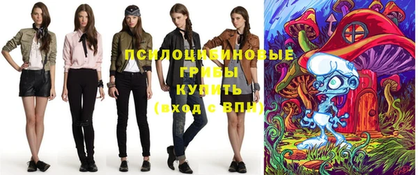 mdpv Киреевск