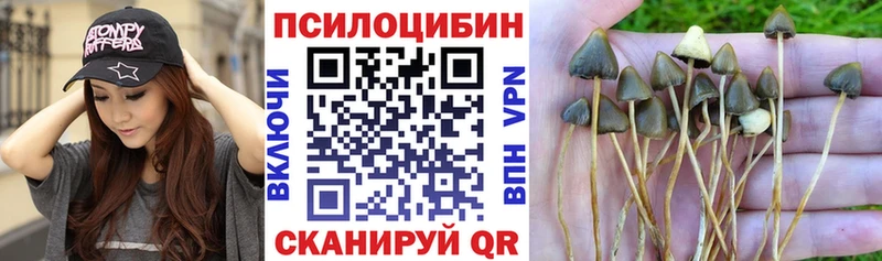 мориарти официальный сайт  blacksprut ссылки  Кстово  Галлюциногенные грибы Magic Shrooms 
